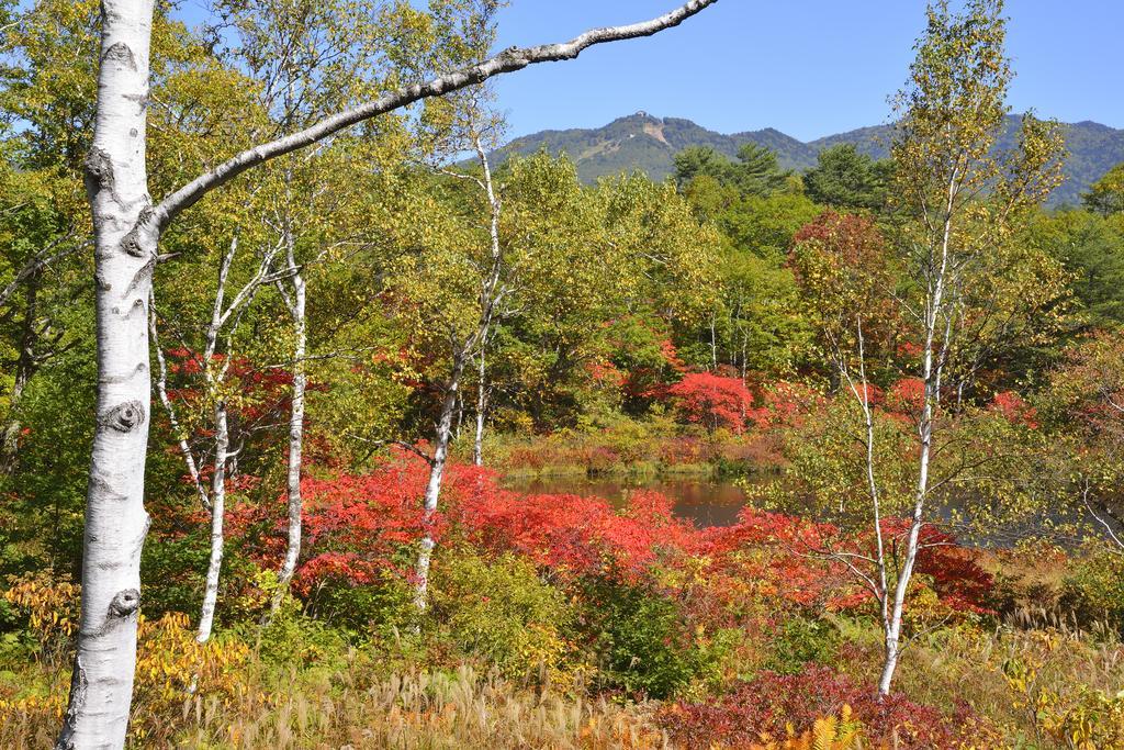 旅馆 Nozaru青年旅馆 山之內